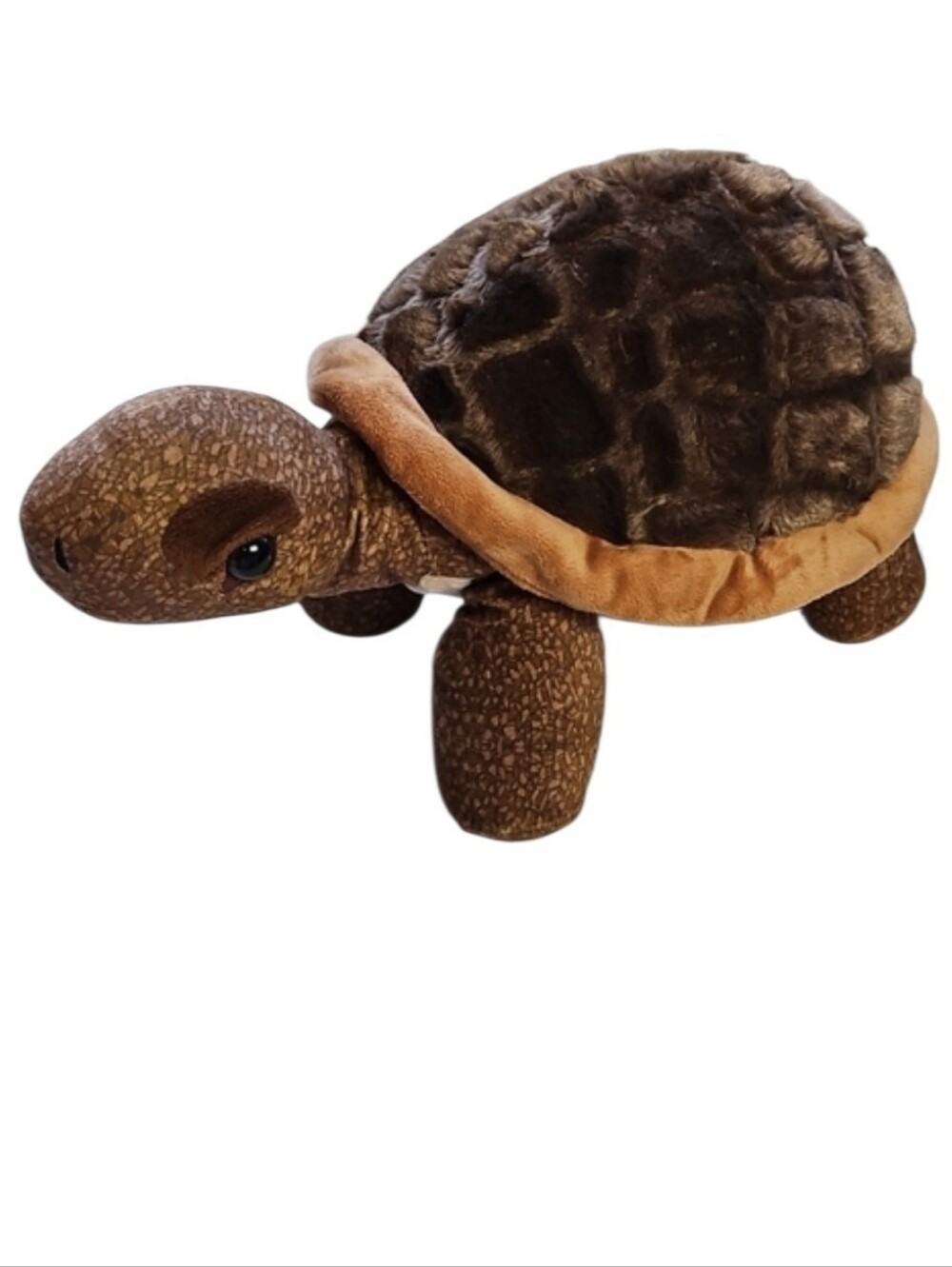 The Petting Zoo Large Tortoise Plush